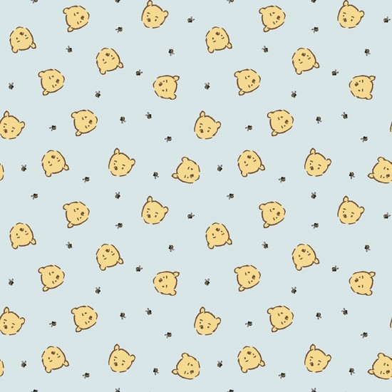 Winnie the Pooh Baby